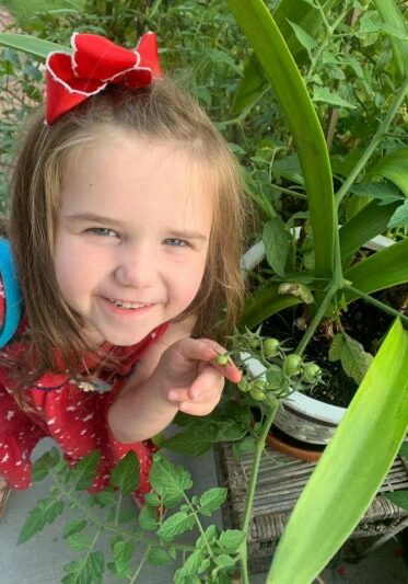 Anna with a tomato plant anna-little-girl-with-a-tomato-plant