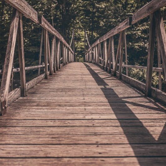 bridge bridge